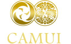 CAMUI